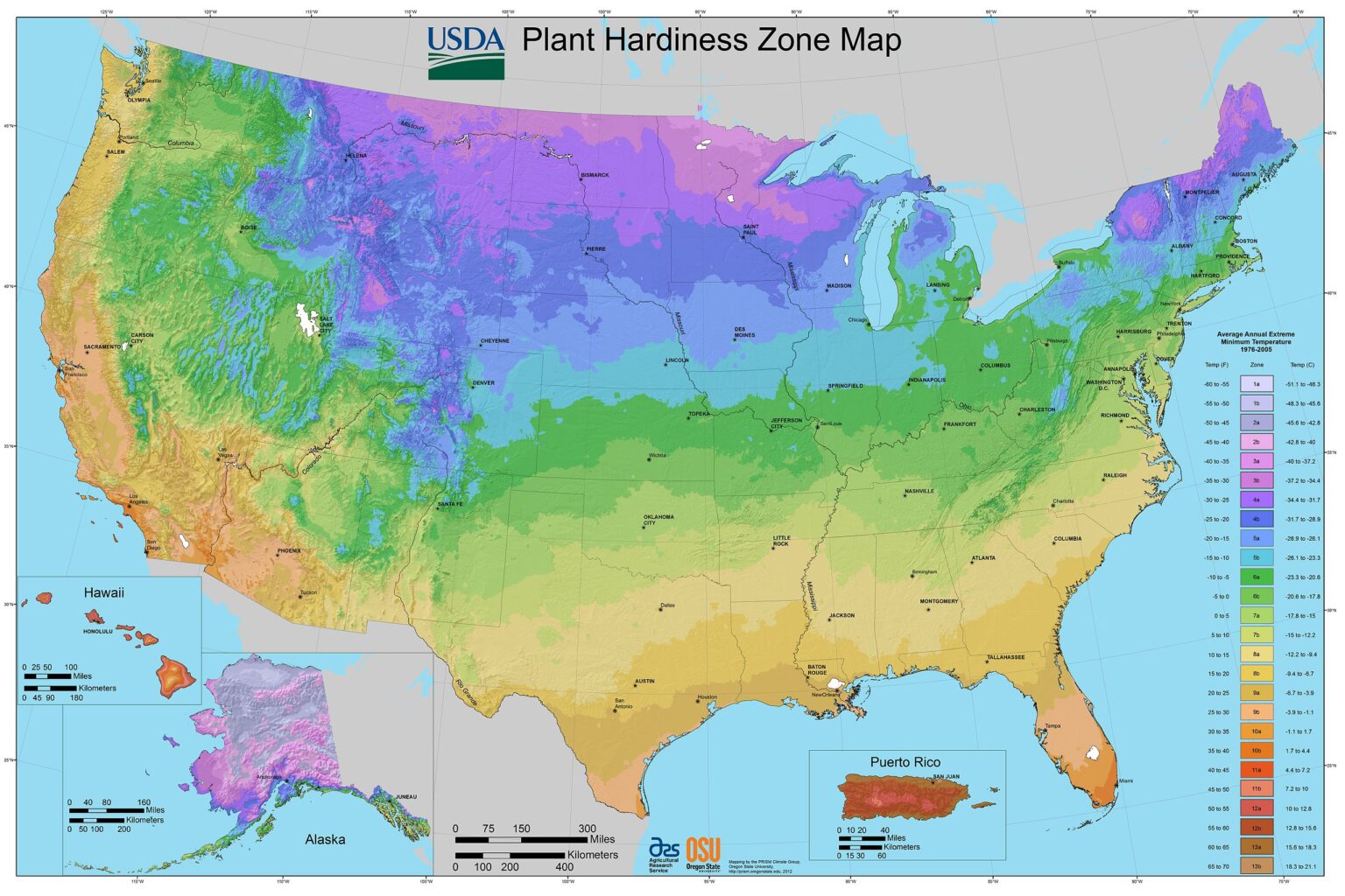 How to Grow and Care for Elephant Ears - Garden Gear Shop