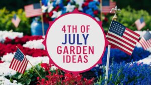 4th Of July Garden Ideas