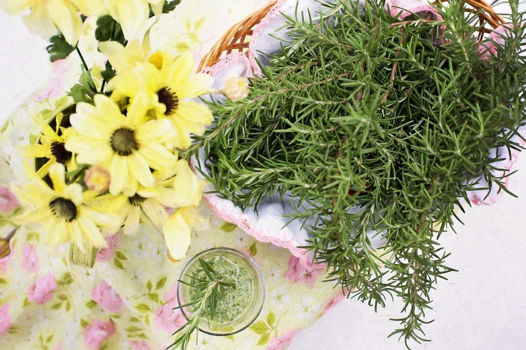 rosemary, herb, food