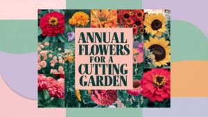 Annual Flowers for a Cutting Garden