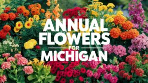 Annual Flowers For Michigan