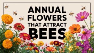 Annual Flowers That Attract Bees