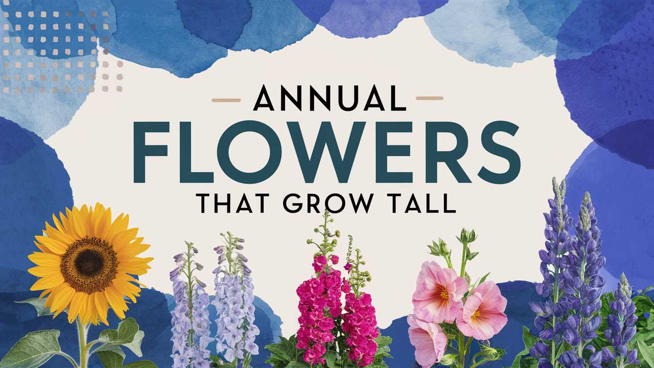 Annual Flowers That Grow Tall