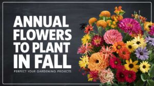 Annual Flowers To Plant In Fall