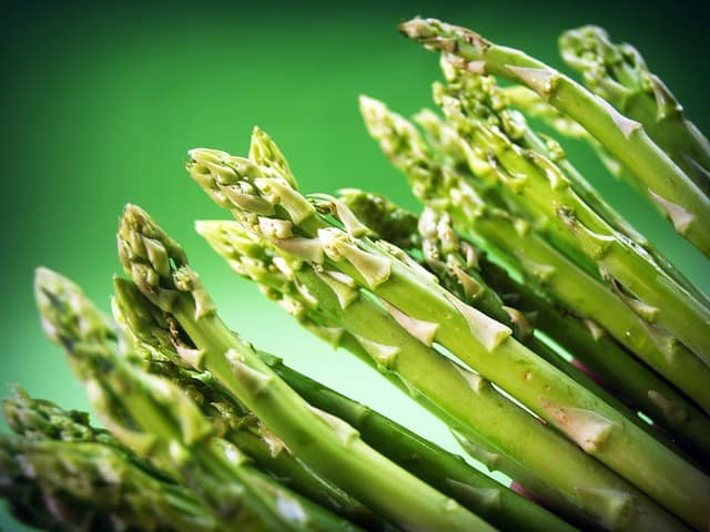 Asparagus Care
