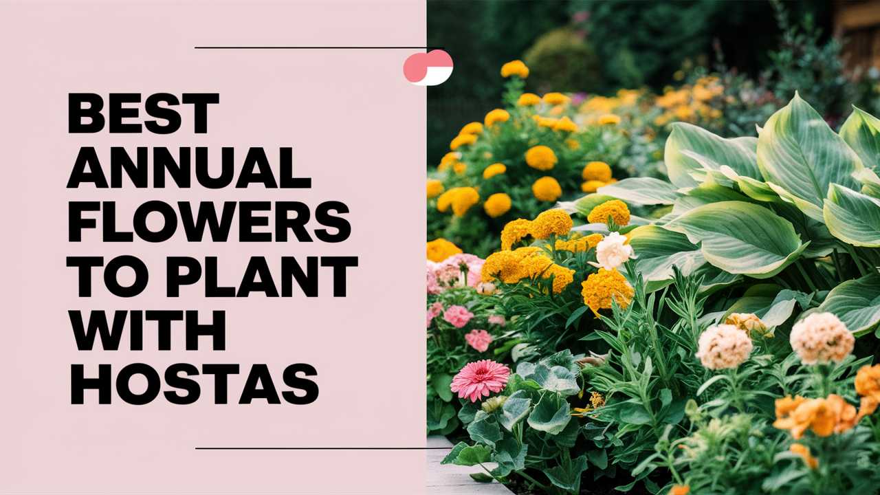 Best Annual Flowers To Plant With Hostas