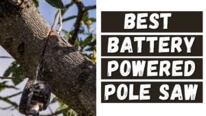 Best Battery Powered Pole Saw