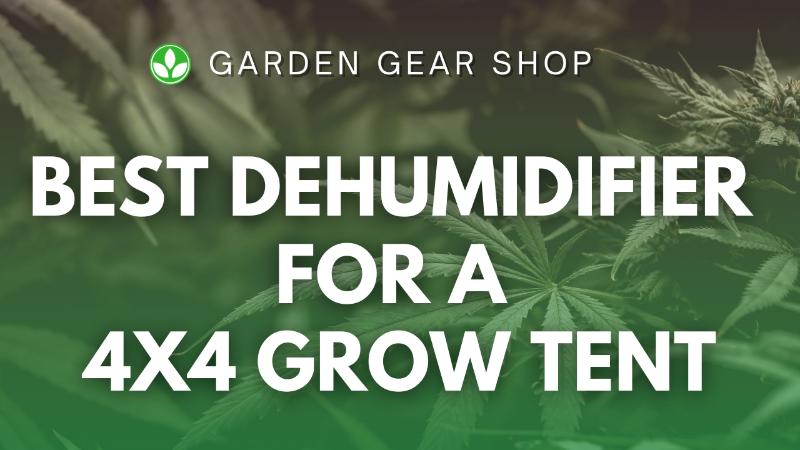 Best Dehumidifier for 4×4 Grow Tent