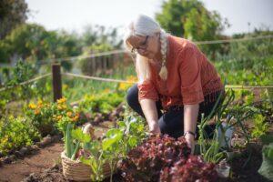 Best Drip Irrigation System for a Vegetable Garden