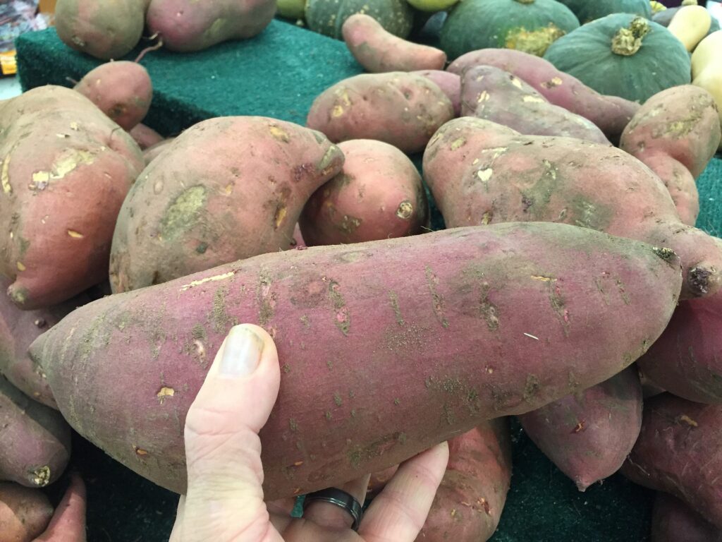 Best Fertilizer for Sweet Potatoes