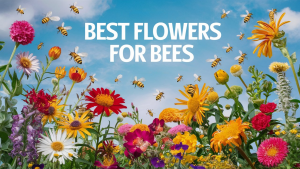 Best Flowers for Bees