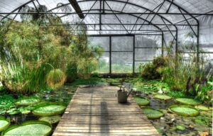 Best Greenhouse for Aquaponics