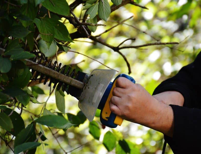 Best Hedge Trimmer for Thick Branches Garden Gear Shop