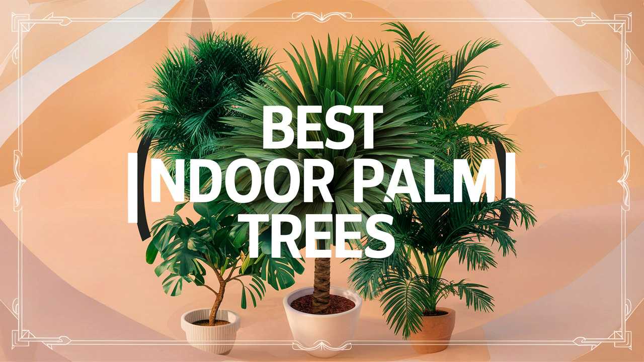 Best Indoor Palm Trees