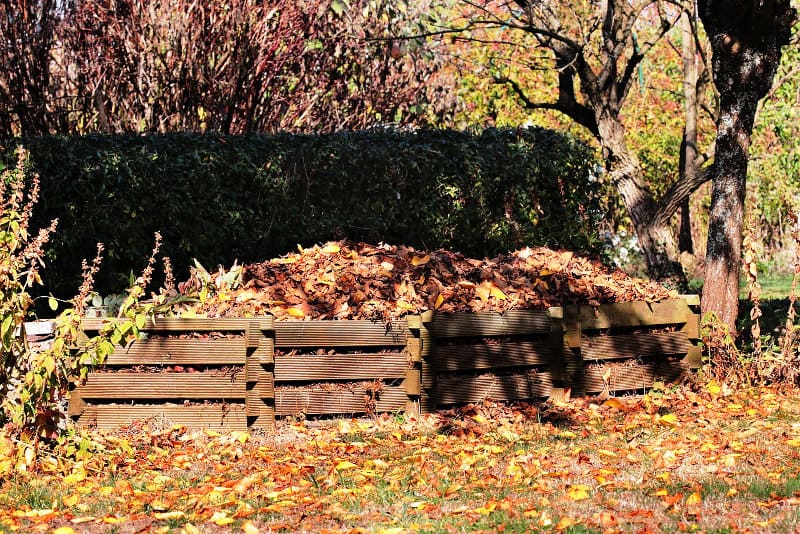 Compost piles