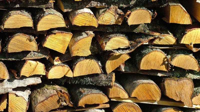 Best Log Splitter Under $1000