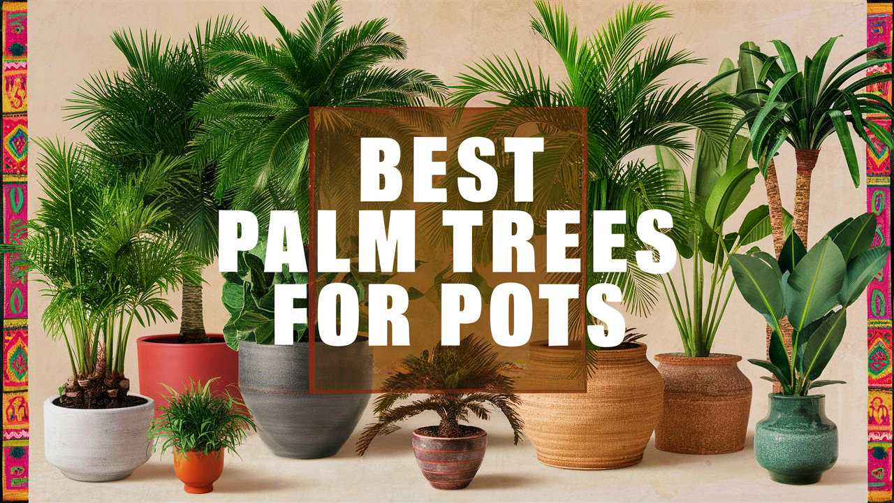 Best Palm Trees For Pots