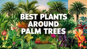 Best Plants Around Palm Trees