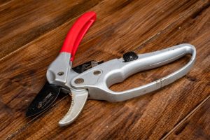 Best Pruning Shears for Small Hands