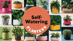 Best Self Watering Planters