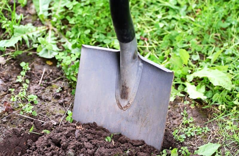 The Ultimate Shovel for Digging Up Grass