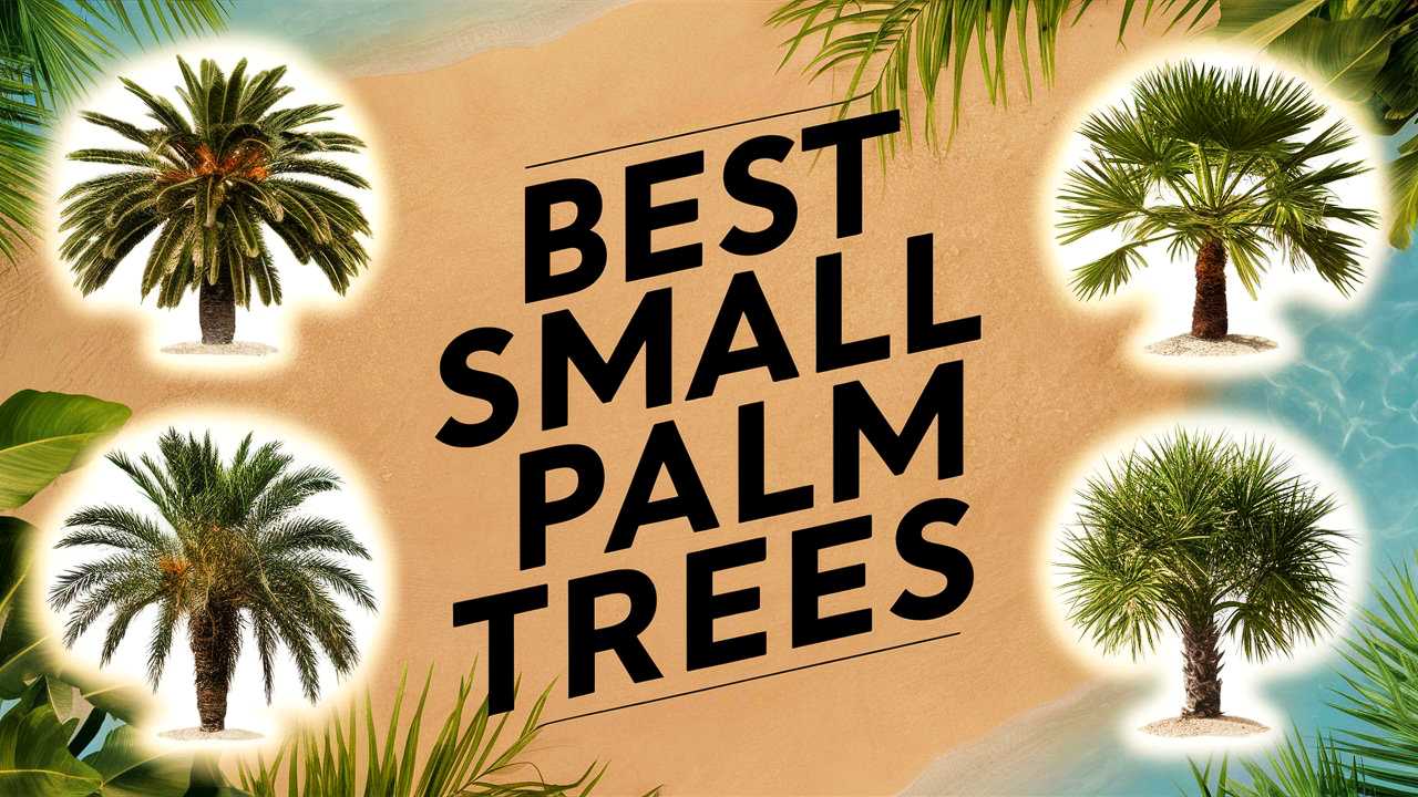 Best Small Palm Trees