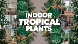 Best Tropical Plants for Indoors