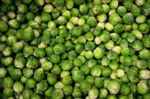 How To Harvest Brussels Sprouts