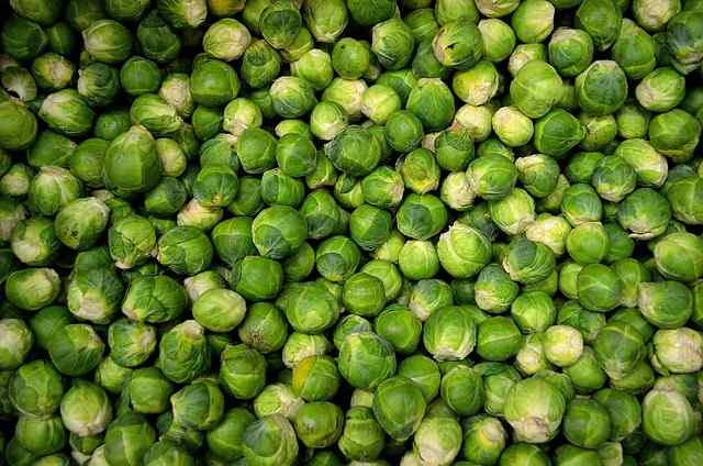 How To Harvest Brussels Sprouts