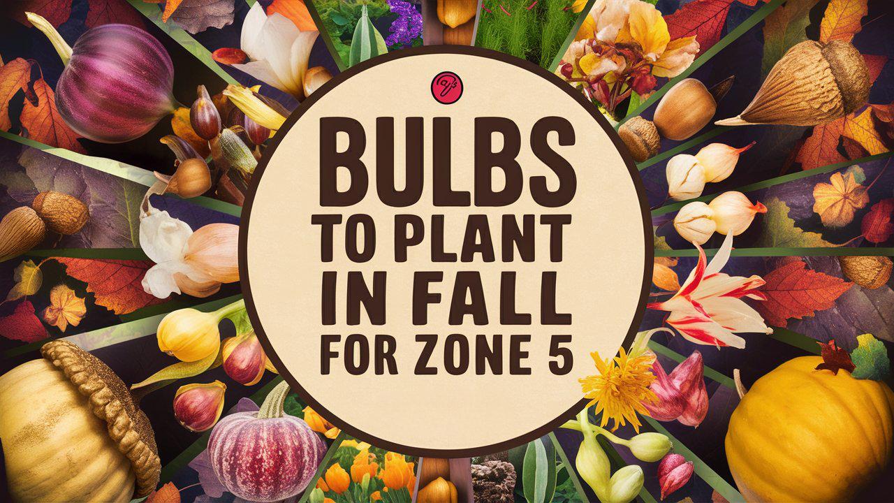 Bulbs To Plant In Fall Zone 5