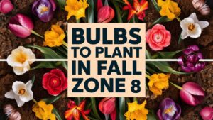 Bulbs To Plant In Fall Zone 8