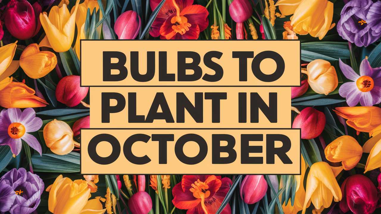 Bulbs To Plant In October