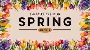 Bulbs To Plant In Spring Zone 7