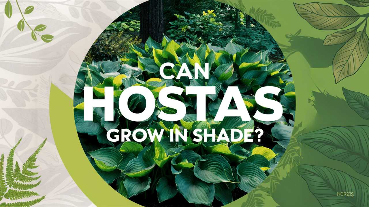 Can Hostas Grow In Shade?