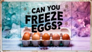 Can You Freeze Eggs?