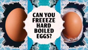 Can You Freeze Hard Boiled Eggs?