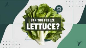 Can You Freeze Lettuce?