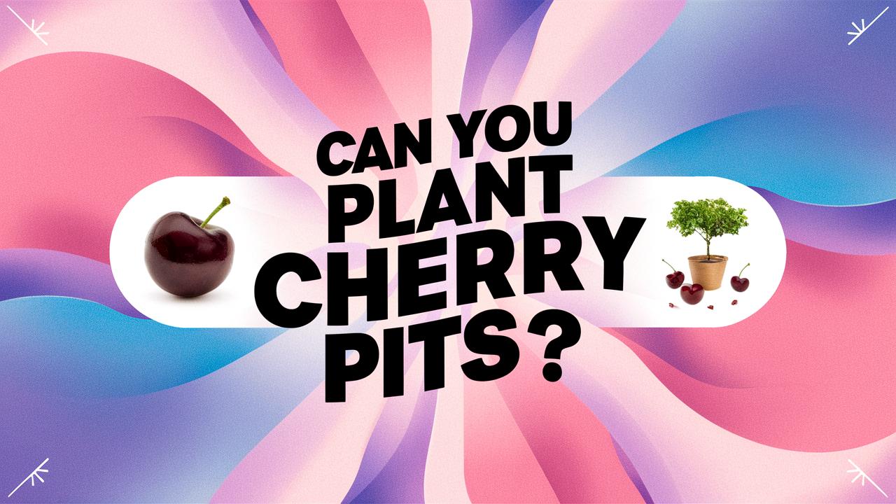 Can You Plant Cherry Pits?