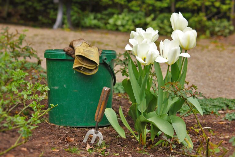 how-to-use-preen-in-vegetable-garden-home-artic