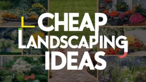 Cheap Landscaping Ideas