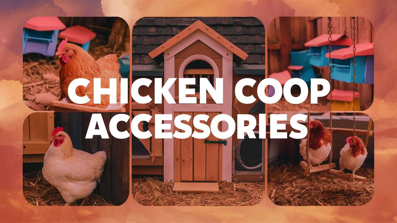 Chicken Coop Accessories