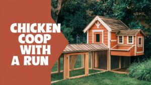 Chicken Coop With Run