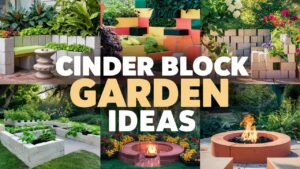 Cinder Block Garden