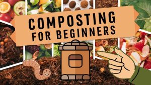 Composting for Beginners