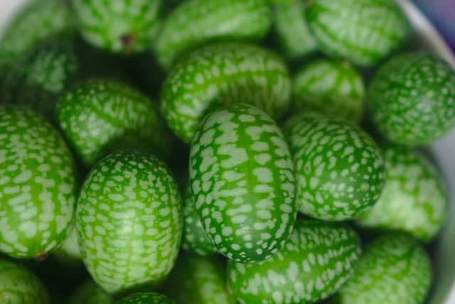 Cucamelons