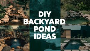 DIY Backyard Pond Ideas