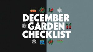 December Garden Checklist