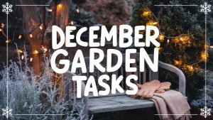 December Garden Tasks