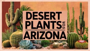 Desert Plants for Arizona