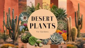 Desert Plants For Gardens